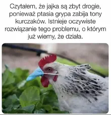 1677170569795.webp
