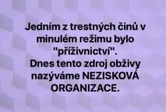 366919729_826390329014555_6575031519133325977_n.webp