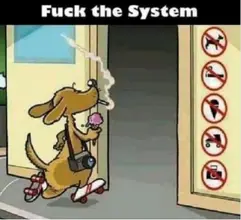 system1.webp