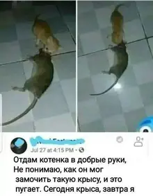 1706036802096.webp