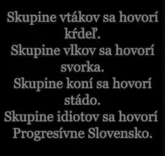 1707937877499.webp