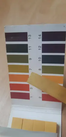 17169067523713929482210501755158.webp