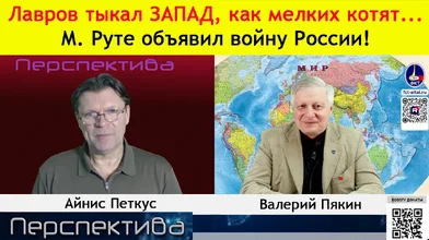 scale_2400.webp
