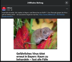 1778324052921.webp