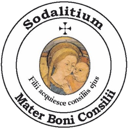 www.sodalitium.eu