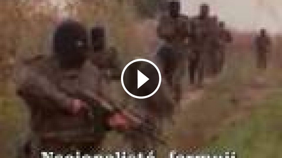 www.mojevideo.sk