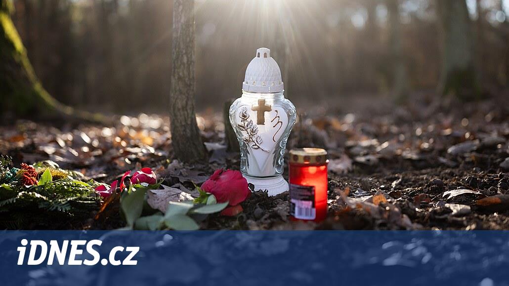 www.idnes.cz