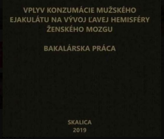 vlkovobloguje.wordpress.com