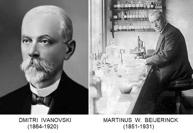 ivanovski-beijerinck.jpg