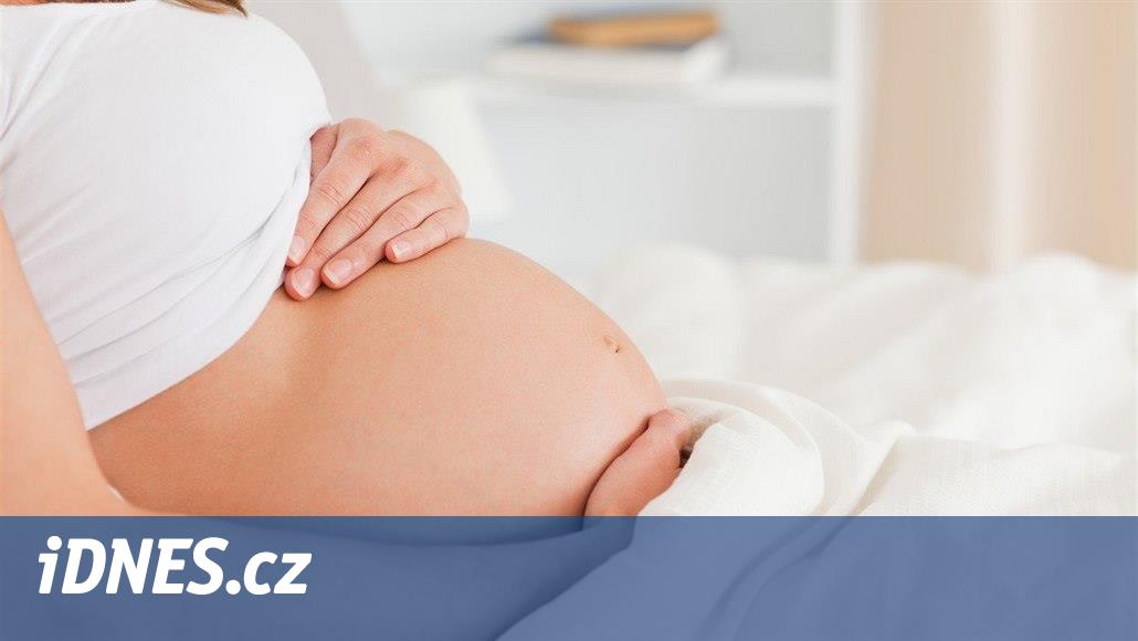 www.idnes.cz