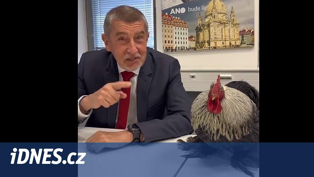 www.idnes.cz