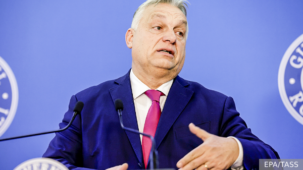 vz.ru
