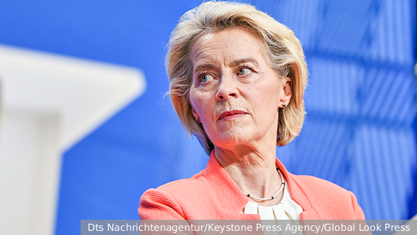 vz.ru