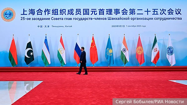 vz.ru