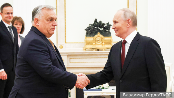 vz.ru