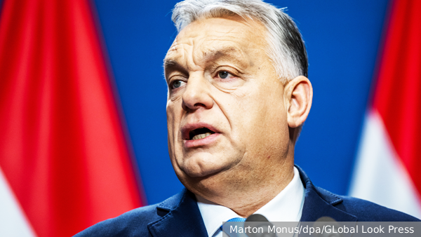 vz.ru