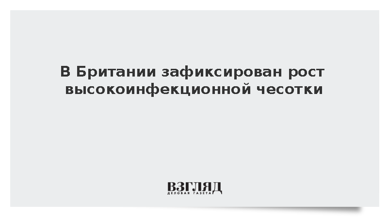 vz.ru