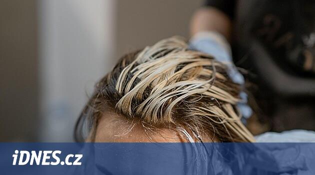 www.idnes.cz