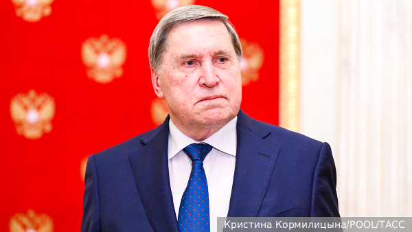 vz.ru