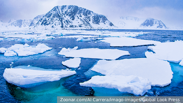vz.ru