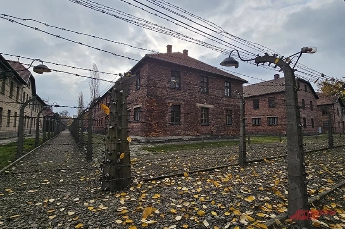 aif.ru